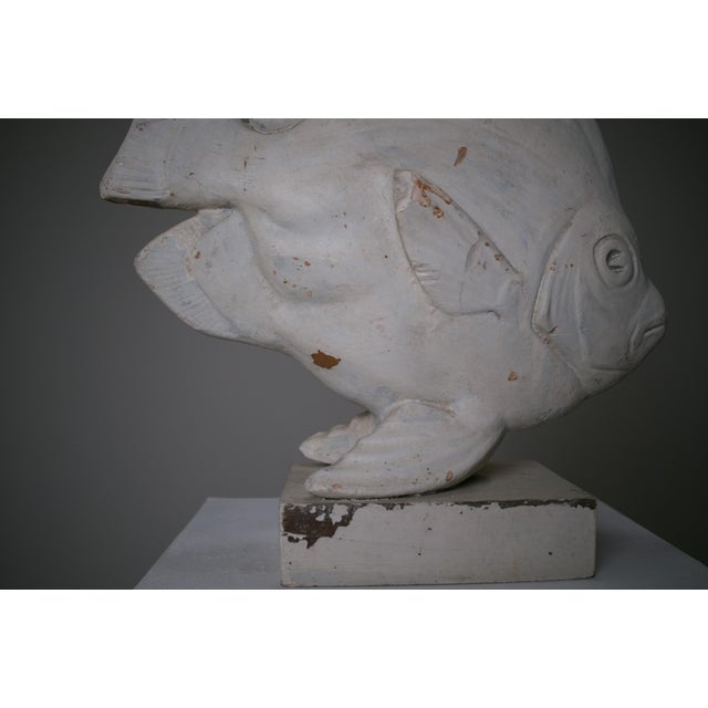 French Art Deco Fish by Edouard Guy, 1920s For Sale - Image 11 of 14