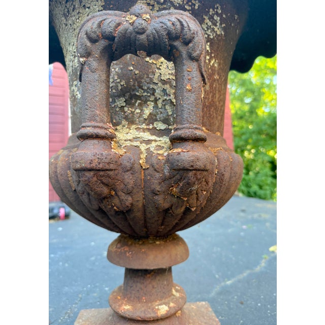 Metal Huge Antique Late Victorian French Heavy Cast Iron Outdoor Planter Urn W/ Handle For Sale - Image 7 of 17