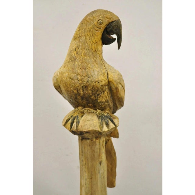 Brown Large 46" Vintage Mid Century Carved Wood Perched Parrot Bird Statue Sculpture For Sale - Image 8 of 11