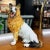 Ceramic Italian Ceramic Hand Painted Collie Dog Figurine Sculpture 17.5 Tall For Sale - Image 7 of 7