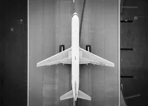 V1 by Mike Kelley Print, 20" x 28"