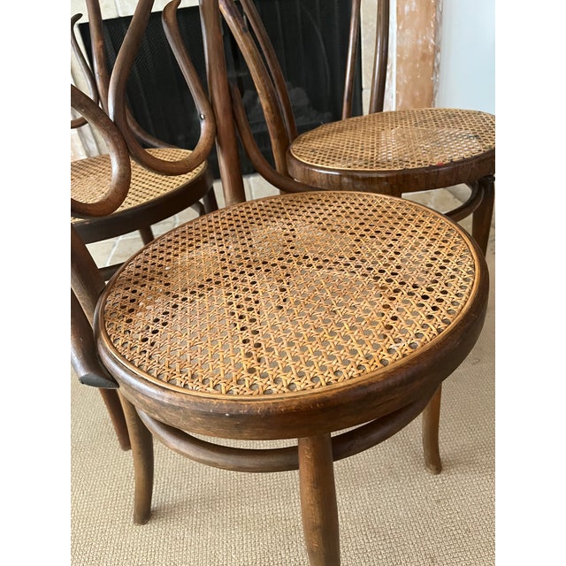 Brown Antique Bentwood Dining Chairs, Set/3 For Sale - Image 8 of 14