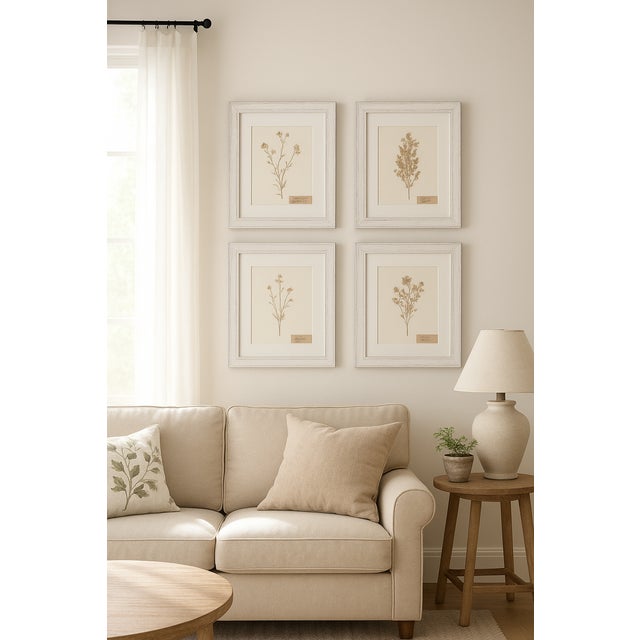 A beautiful set of 4 custom framed antique herbarium floral specimens collected in 1912, including forget-me-nots and...