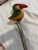 Up for consideration is a beautiful ceramic and wooden bird sculpture. This would look lovely in your home and it is a...