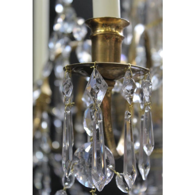 Metal Neoclassical Chandelier in Bronze and Crystal For Sale - Image 7 of 18