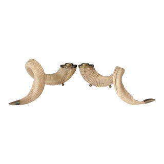 Mid 20th Century Brass & Ram’s Horn Candle Holders - a Pair For Sale