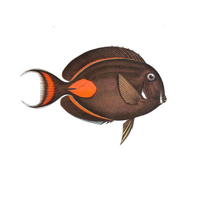 "West Made East With the Loss of a Day" 1933 Vanderbilt, William K. For Sale - Image 12 of 12