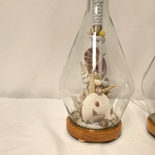 Coastal Custom Made Natural Sealife Lamps in Glass - a Pair For Sale - Image 3 of 14