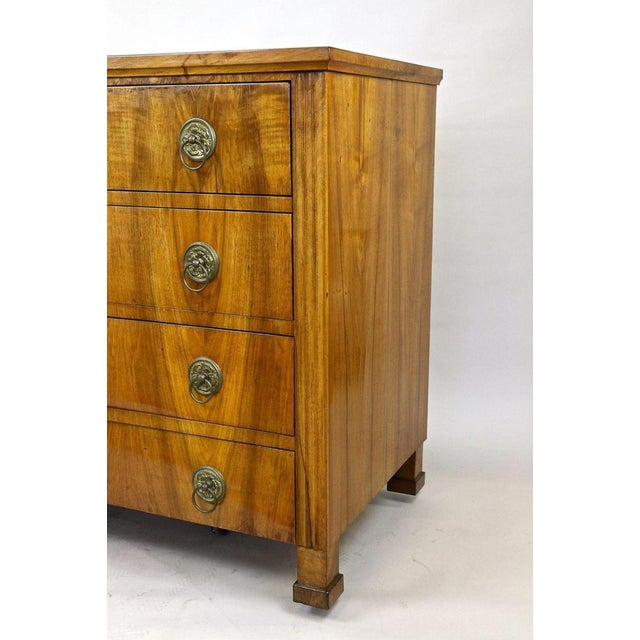 Antique Biedermeier Chest of Drawers, Austria, 1830 For Sale - Image 13 of 18