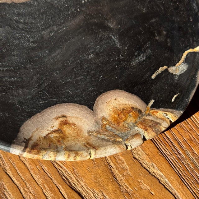 Small Trinket Tray or Dish in Black and Beige Petrified Wood, 1980s For Sale - Image 6 of 11