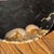Small Trinket Tray or Dish in Black and Beige Petrified Wood, 1980s For Sale - Image 6 of 11