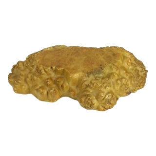 Antique Japanese Meiji Kadai Burl Presentation Board For Sale