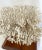 1960s Vintage White Table Coral Specimen For Sale - Image 5 of 12