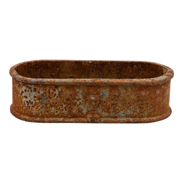 Small Cast Iron Oval Planter, France Early 20th C. For Sale