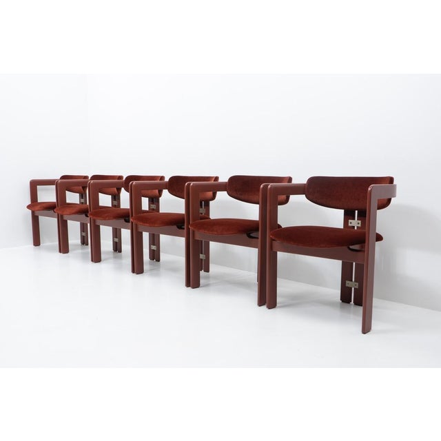 Pamplona Chairs by Augusto Savini for Pozzi, 1970s, Set of 6 For Sale - Image 4 of 15