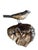 1920s Austrian Folk Art Carved Wood Bird #102, 1920s For Sale - Image 5 of 5