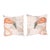 Pair of Canvas Flamingo Throw Pillows For Sale