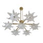 Shop Dlight Chandelier and Decor