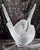 Figurative Vase Sylvie in Satin-Finished Crystal Glass by Lalique, 1960s For Sale - Image 8 of 8