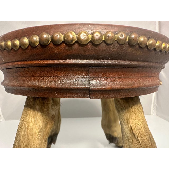 Early 20th Century Antique Taxidermy Deer Hoof Mahogany Stool For Sale - Image 5 of 10