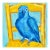 Blue Parrot on Yellow Chair Oil Painting Original Art For Sale