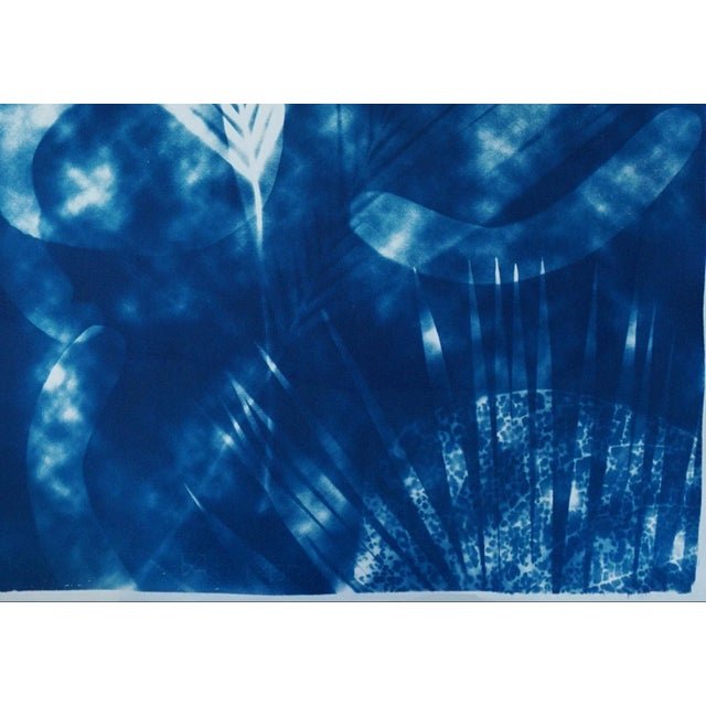 Botanical Cyanotype With Abstract Cloudy Shades,Photogram Made on Watercolor Paper, Deep Range of Blues, 50xx70cm For Sale - Image 4 of 10