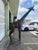 Modern Lifesize Welded Metal Giraffe . Great Garden Decor For Sale - Image 3 of 12