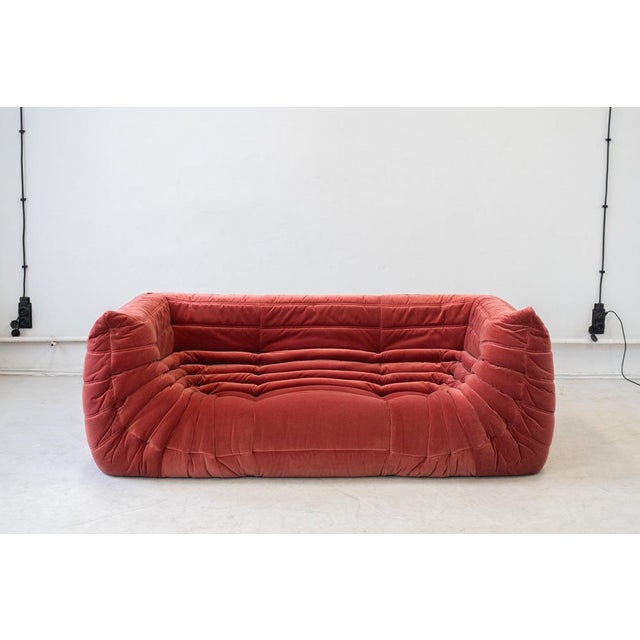 Vintage Two-Seat Togo Sofa with Arms in Burgundy Velvet by Michel Ducaroy for Ligne Roset, 1970s For Sale - Image 14 of 18