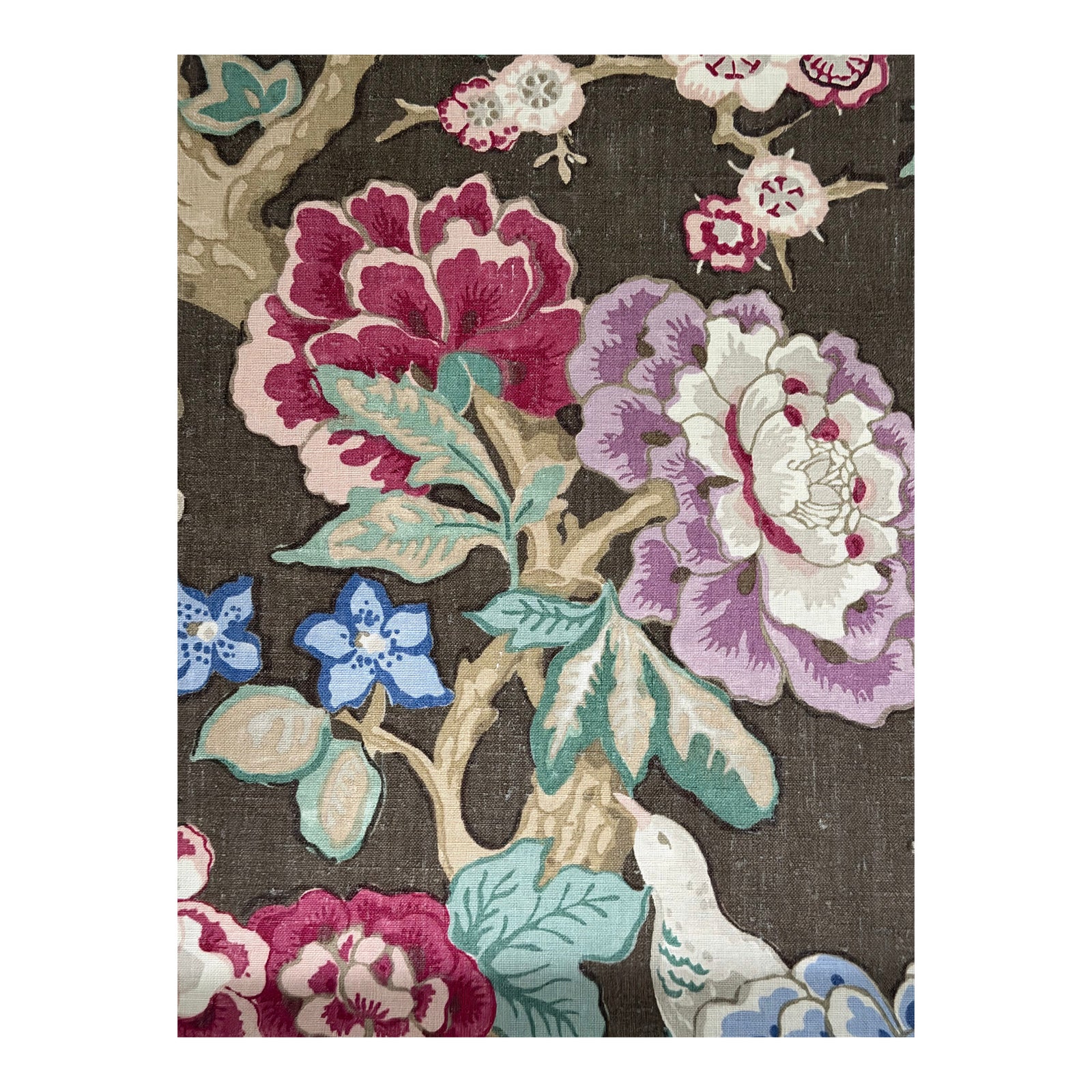 Schumacher X Mary McDonald Bermuda Blossoms in Cocoa 175870 3 5/8 Yards ...