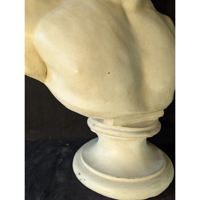 Mid 20th Century Plaster Bust of Antinous For Sale - Image 5 of 6