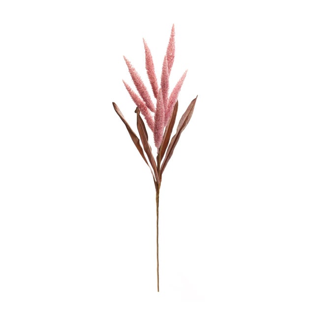 Bring the beauty of nature indoors with the Foxtail Plume Stem Set. This stunning pair of 35.5-inch faux stems features...