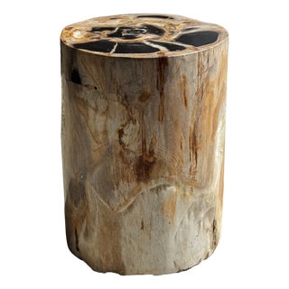 Petrified Wood Side Table For Sale