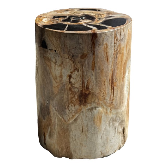 Petrified Wood Side Table For Sale