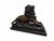 Charming Vienna Bronze lion sculpture dating from the 19th century, finely cast in bronze and decorated using the...