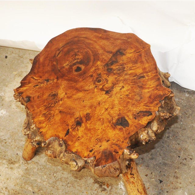 Wood Sculptural Burr Walnut Side Tables, 1950s, Set of 2 For Sale - Image 7 of 11