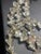 1950s Long Fluted Necklace Features Transparent, Mold-Pressed Glass Bellflower in Jablonec Nad Nisou (Gablonz) Czechoslovakia For Sale In South Bend - Image 6 of 8