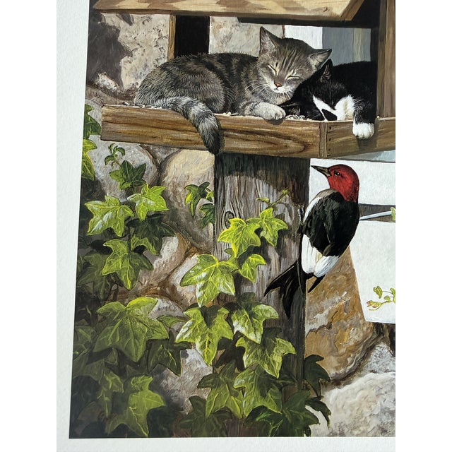 1995 Persis Clayton Weirs "Do Not Disturb" Signed Numbered 54/950 Print Cats, Birds W/ Coa For Sale - Image 4 of 9