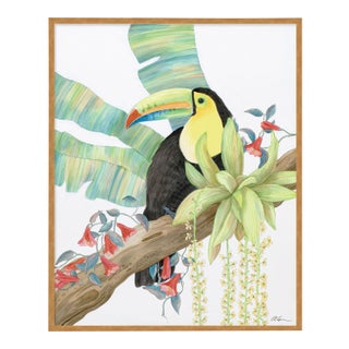 Toucan Play at That Game by Allison Cosmos in Gold Framed Paper, Small Art Print For Sale