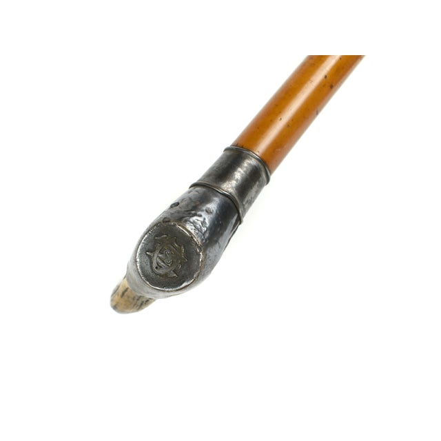 19th Century Victorian Stag Antler Gentleman Walking Cane With Engraved Sterling Silver Collar, Dated 1887 For Sale - Image 10 of 12