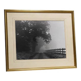Mid 20th Century Misty Country Road Black and White Photograph in Gold Frame For Sale