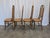 Mid-Century Modern Vintage Bentwood and Cane Dining Chairs, Former Yugoslavia, 1970s, Set of 4 For Sale - Image 3 of 17
