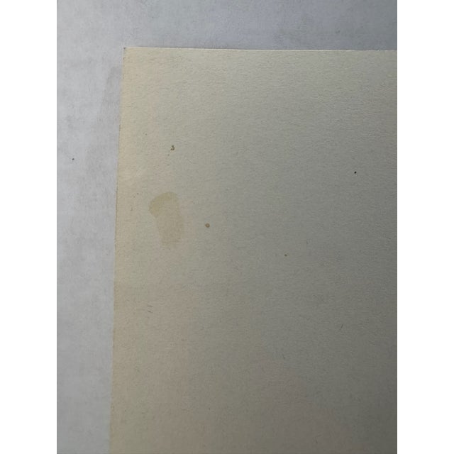 1940s Original Signed Graphite Portrait of Collie Dog, 1949, 11 × 8.25 In. For Sale - Image 4 of 6