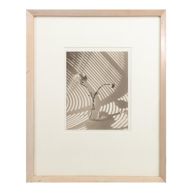 James Ware Pitts - Two Ranunculus on Curved, Striped Background, 1994 Signed For Sale