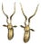 Kudu Antelopes by Karl Springer, 1972, Set of 2 For Sale