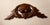 Wood 19th C. Hand-Carved Walnut Architectural Fragment - Acorn & Oak Leaf Medallion For Sale - Image 7 of 13