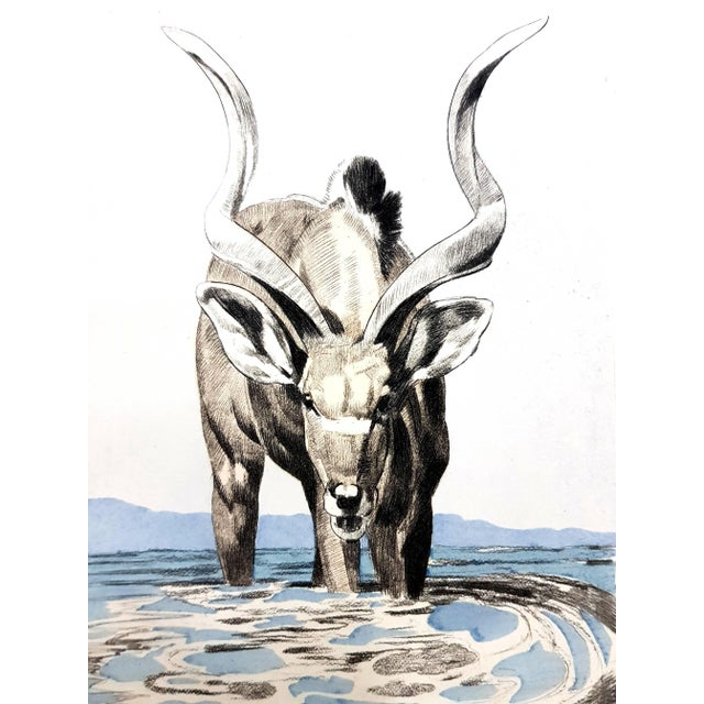 Paul Jouve - Antelope - Original Engraving Editions Rombaldi, Paris, 1950. Copy on velin creme de Rives Artwork by Paul...