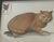 Vintage original watercolor on paper Red Cat Portrait with stamp collage , framed under glass.