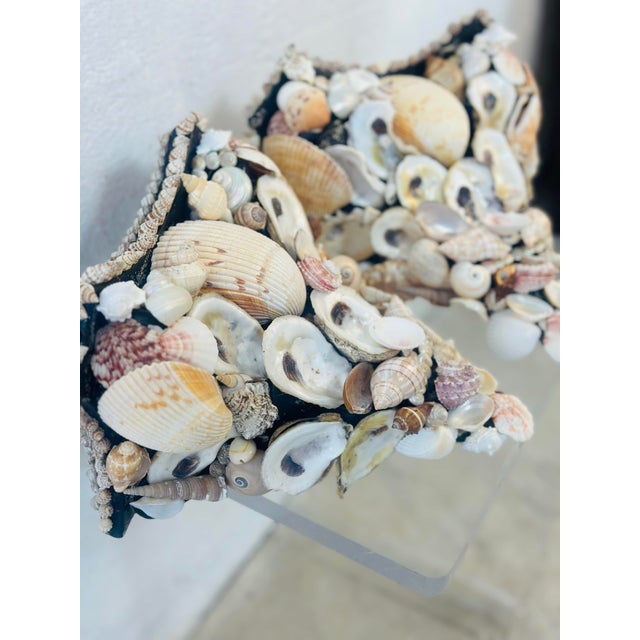 Cream Vintage Shell Brackets, a Pair For Sale - Image 8 of 12