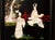 C. 1920-1940s Chinoiserie Inlaid Coromandel Screen For Sale - Image 4 of 18