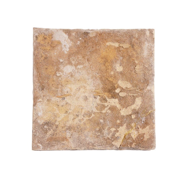 Ceramic Set of 4 Rare Delft Tiles of Fruit, 17th Century For Sale - Image 7 of 14